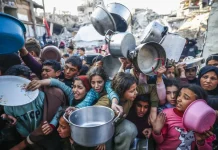 Mahmoud Issa/Anadolu