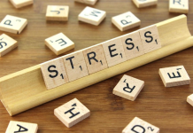 40% luksemburških radnika svakodnevno se vraća kući pod stresom 40% luksemburških radnika svakodnevno se vraća kući pod stresom