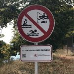 Upozorenje za kupače u Luksemburgu: Plavo-zelene alge mogu predstavljati ozbiljan rizik po zdravlje