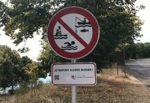 Upozorenje za kupače u Luksemburgu: Plavo-zelene alge mogu predstavljati ozbiljan rizik po zdravlje