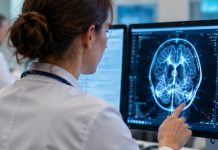 szo kancelarija u luksemburguračunaru